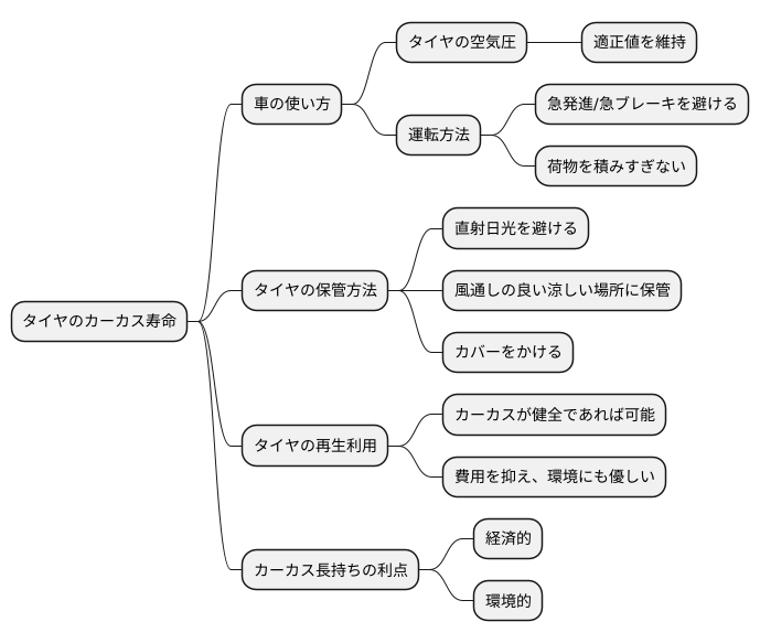 カーカスの寿命