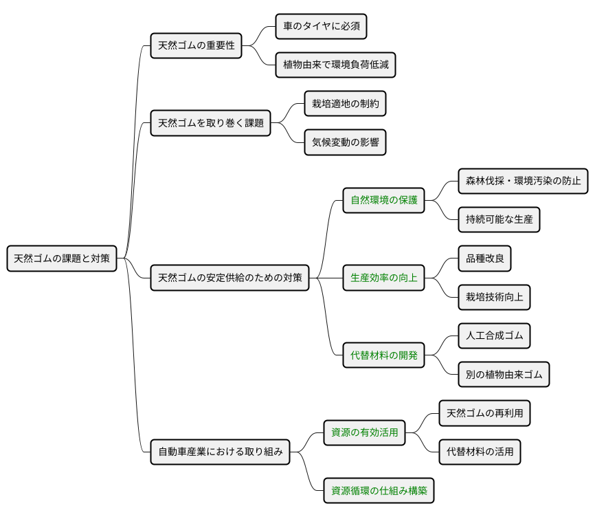 将来の展望