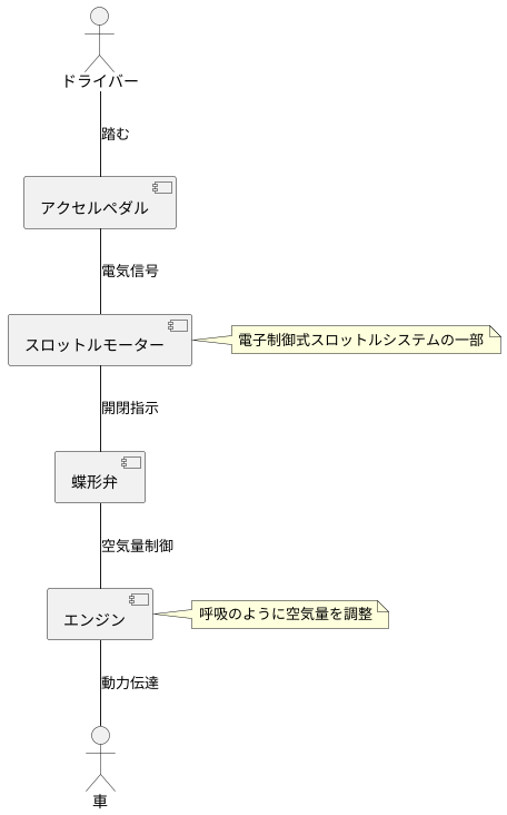加速を操る小さな巨人
