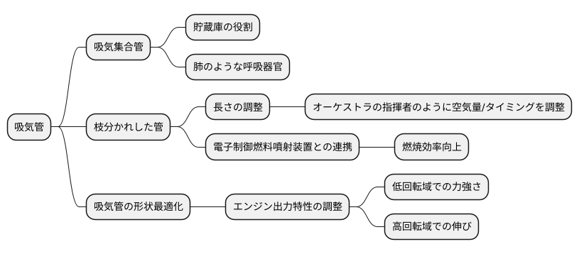 枝分かれした構造